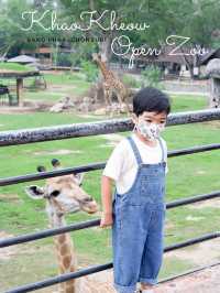 สวนสัตว์เปิดเขาเขียว จ.ชลบุรี 🦒🐘🌳 