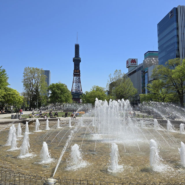 A Vibrant Oasis in the Heart of Sapporo