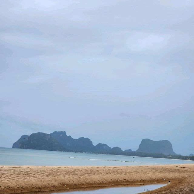 กาแฟขี้ชะมดโครงการพัฒนาส่วนพระองค์จังหวัดชุมพร