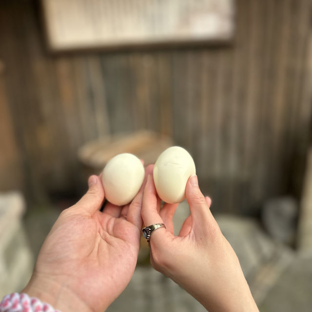 【北投】地熱谷公園：硫磺煙霧瀰漫、附近煮溫泉蛋超好玩！