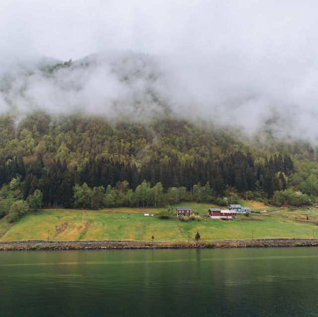 Explore the Enchanting Norwegian Fjords on a Cruise Trip