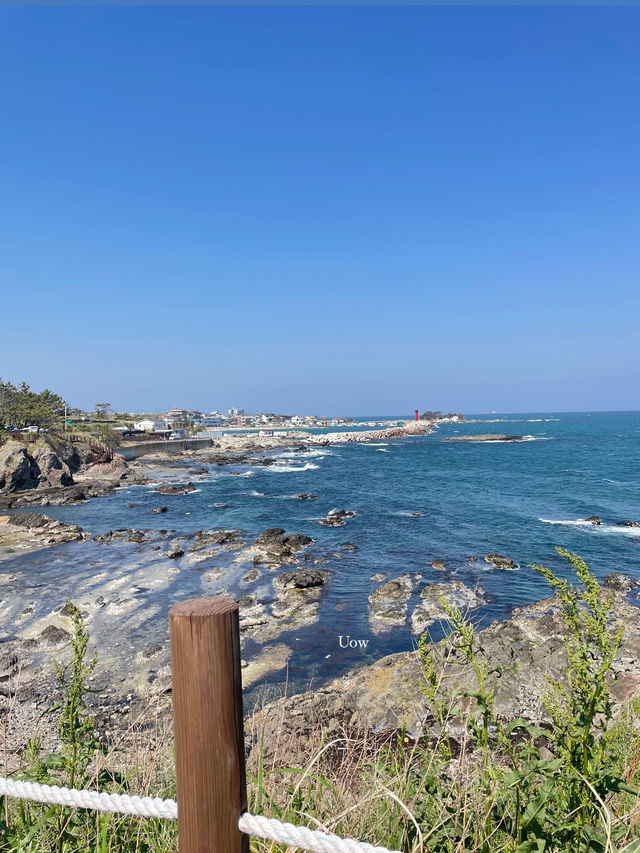 가슴이 뻥 뚫는 포항바다를 소개합니다🌊
