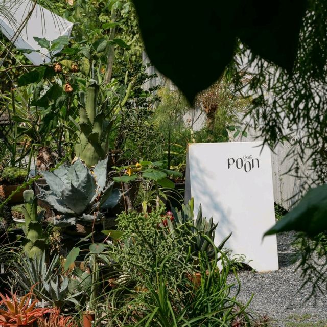 ปูรณ์ / POON คาเฟ่โอเอซีสสีเขียวกลางเมืองบางแสน