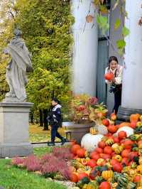 Golden Autumn Serenity: An Unplanned Stroll Through Warsaw's Saxon Gardens