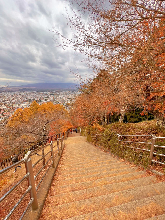 【山梨】富士山見ながら紅葉狩り