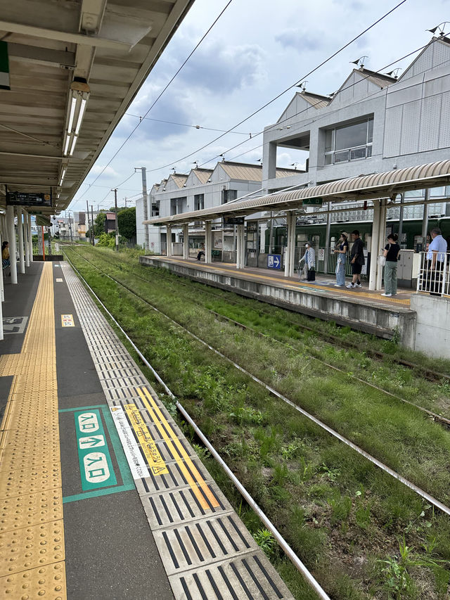 東京旅遊最值得去的景點！💗