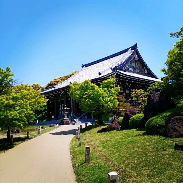 【京都】この秋行きたい！京都神社仏閣巡り 智積院