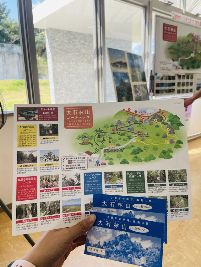 【沖縄県】大石林山でカジュアルハイキング！
