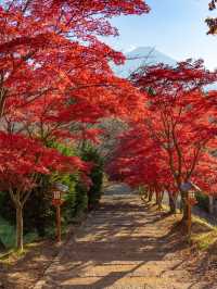 【山梨県】新倉山浅間公園