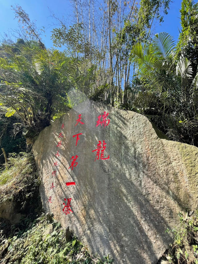 南投 輕鬆步道 老少咸宜！
