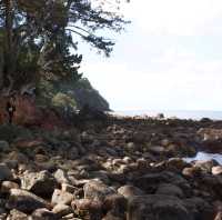 New Chums Beach