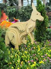 Australian Carnival of Flowers at Flower Dome