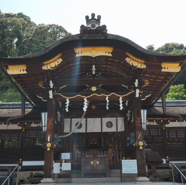 【京都観光】酒造りと縁結びの神様を祀る！「松尾大社」⛩️ 🍶