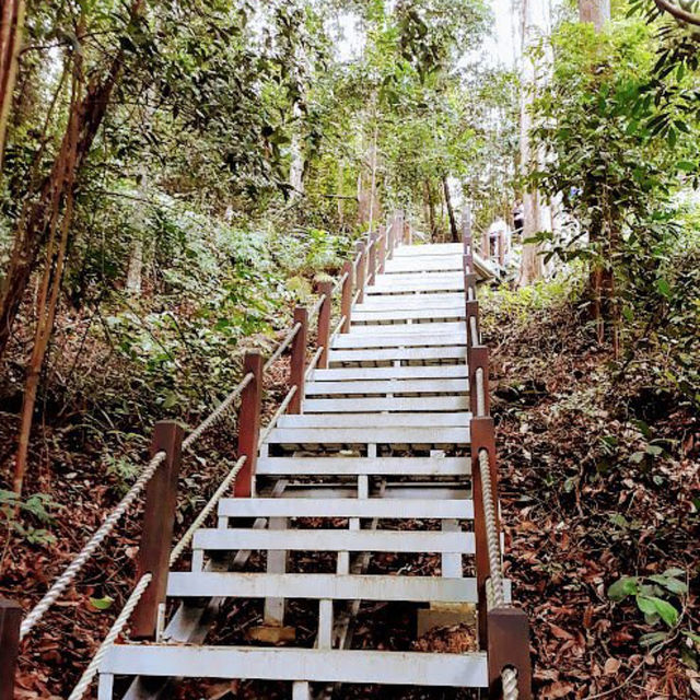 Monthly Hiking at Bukit Timah Hill 🇸🇬