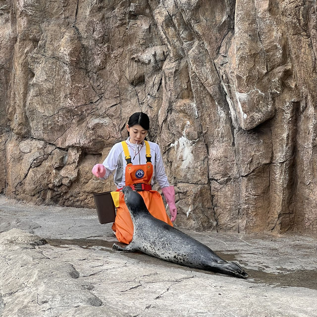 Must visit Zoo in Hokkaido