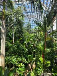 デートにぴったり！高知市内の植物園