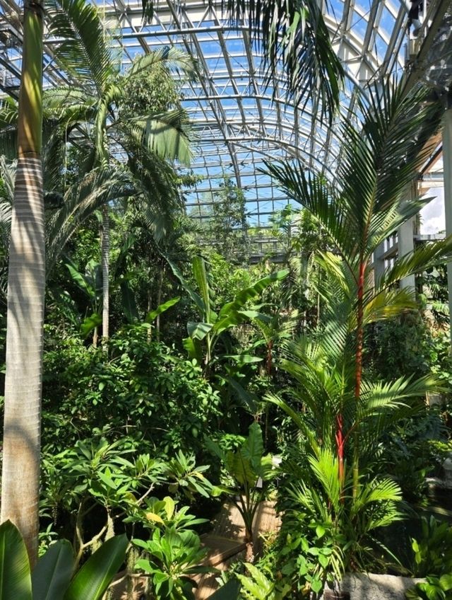 デートにぴったり！高知市内の植物園