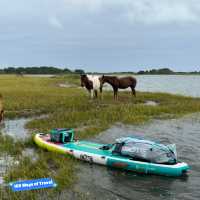 Camping Experience at Assateague Island
