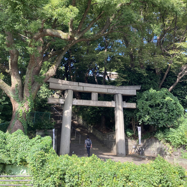 推薦荷花盛放的上野公園必遊景點｜不忍池