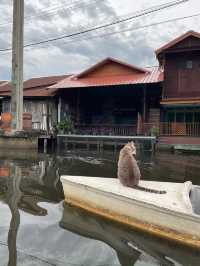 Bangkok's Hidden Gem💎 Sailing with CATS at Hua Takhe Old Market