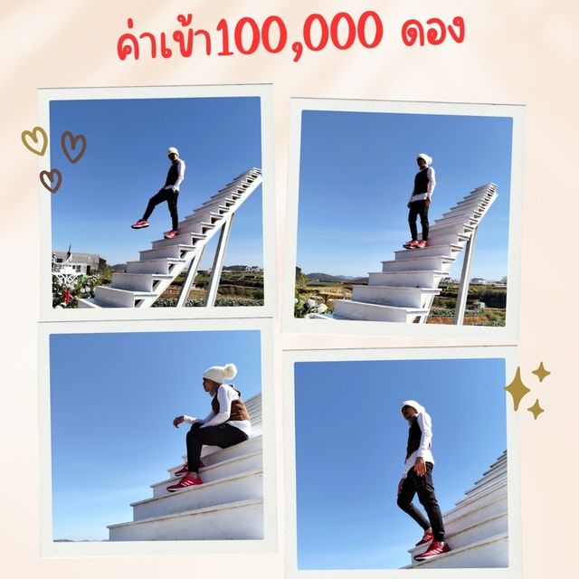ไฮเดรนเยีย 💗💗💗ฉันมาแล้วนะ