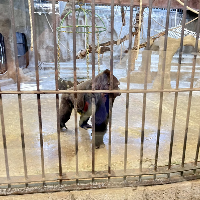 Pata Zoo Bangkok 