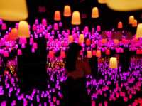 นิทรรศการ Media Art ของ Gustav Klimt