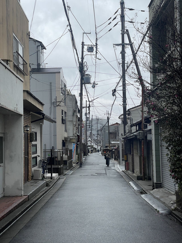 NARA🦌 in One Day: Where History and Nature Embrace
