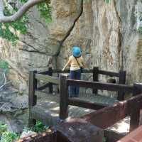 เดินป่าตามหานางพันธุรัต