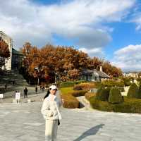 Autumn’s in Seoul South Korea 🇰🇷