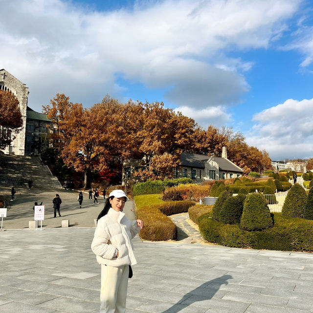 Autumn’s in Seoul South Korea 🇰🇷