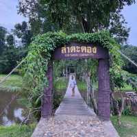 จุดกางเต็นท์เขาใหญ่ นอนท่ามกลางน้อนกวาง