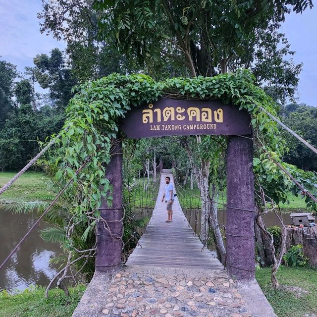 จุดกางเต็นท์เขาใหญ่ นอนท่ามกลางน้อนกวาง