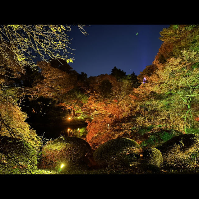 อุทยานแห่งชาติชินจูกุเกียวเอน(งาน light up autumn)