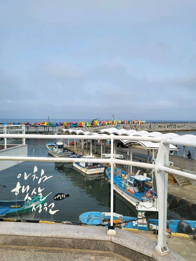 알록달록 테트라포트가 예쁜 동해 어달항
