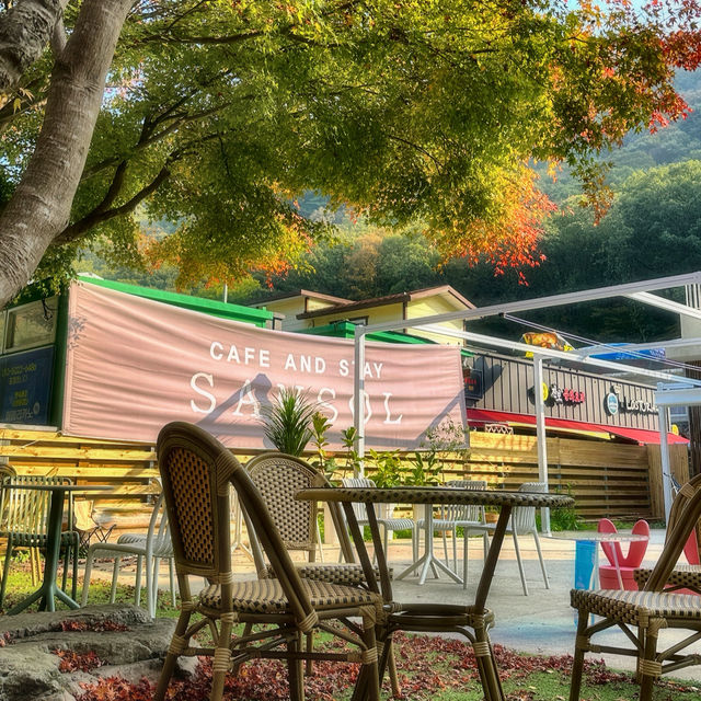 단풍으로 물들어 자연경관이 아름다운 순창의 카페🍁
