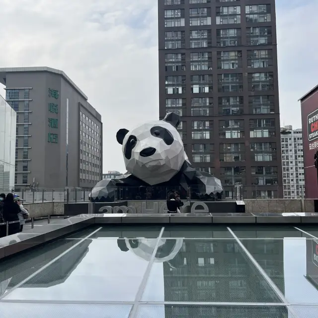 熊貓之城——中國成都