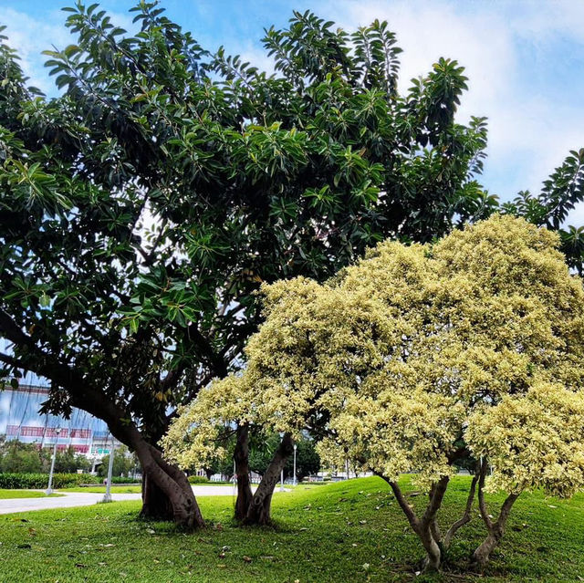 花博公園圓山園區
