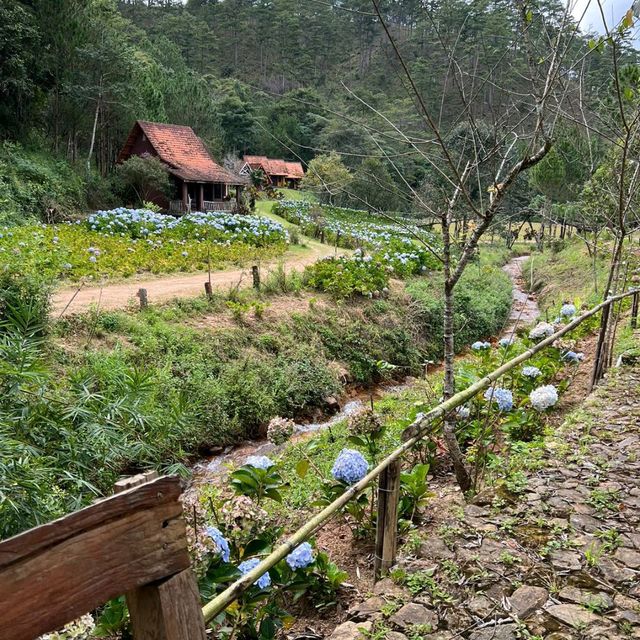lang cu lan