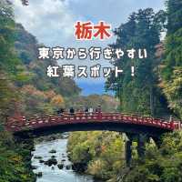 【栃木】東京から行きやすい人気紅葉スポット🍁