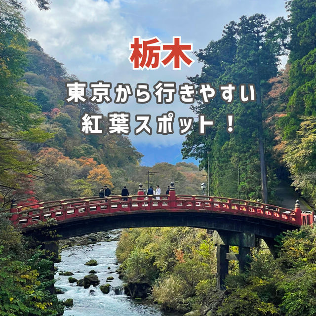 【栃木】東京から行きやすい人気紅葉スポット🍁
