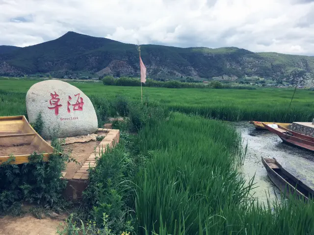 A Tranquil Journey: Exploring the Natural Beauty of Lugu Lake's Grass Sea