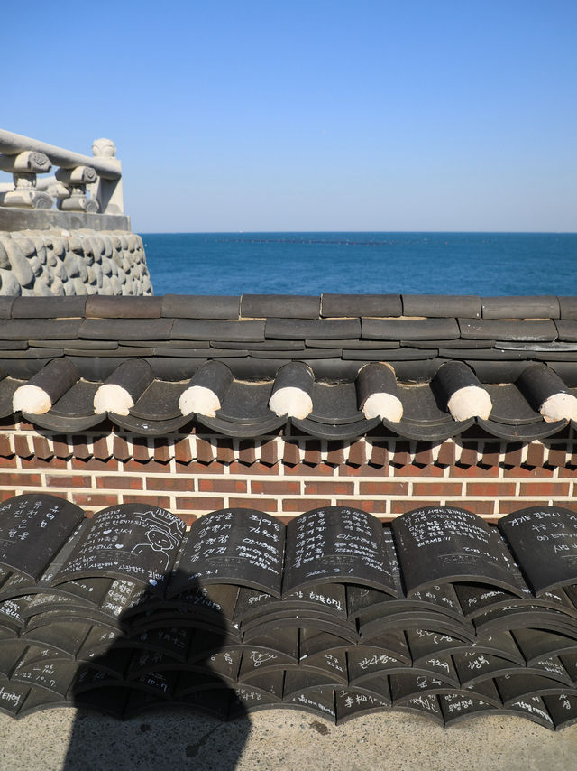 【釜山🇰🇷】海が見える寺院へ