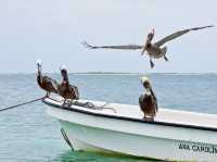 Paradise islands in Venezuela 