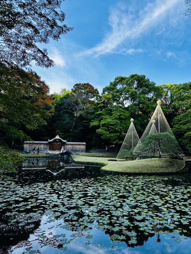 景點推薦：小石川後樂園——初秋東京的靜謐綠洲