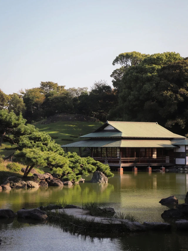 景點推薦：清澄庭園——都市中的靜謐湖景