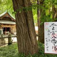 二日市八幡宮，如畫般的金黃秋日風景