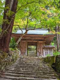 【滋賀】湖東三山最古のお寺で絶景紅葉