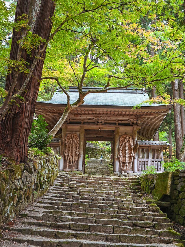 【滋賀】湖東三山最古のお寺で絶景紅葉