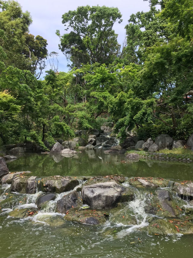 【大阪】花博記念公園鶴見緑地で季節を愛でる♡ 
